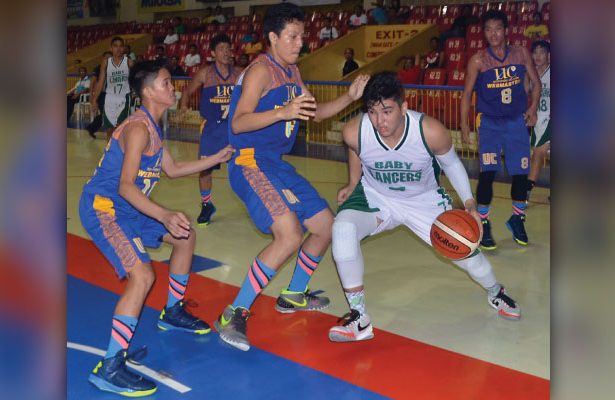 Baby Lancers survive